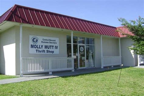 Molly mutt iv thrift shop. Things To Know About Molly mutt iv thrift shop. 